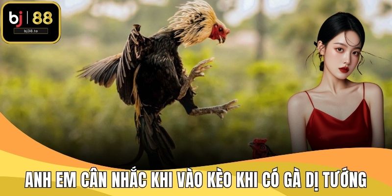 Anh em cân nhắc khi vào kèo khi có gà dị tướng