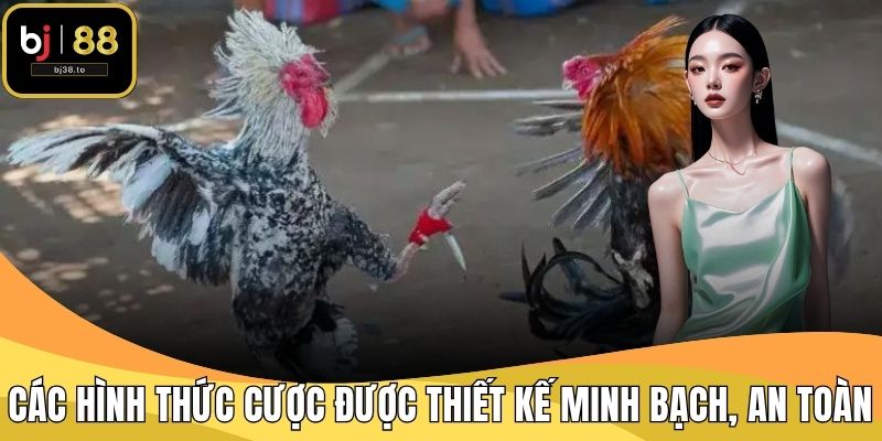 Các hình thức cược được thiết kế minh bạch, an toàn