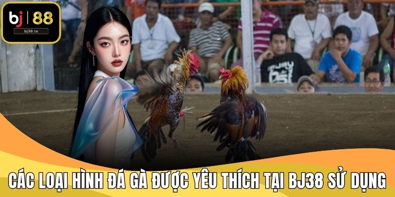 Các loại hình đá gà được yêu thích tại BJ38 sử dụng thêm dụng cụ
