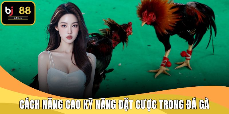 Cách năng cao kỹ năng đặt cược trong đá gà
