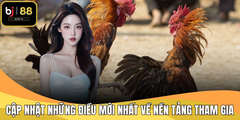 Cập nhật những điều mới nhất về nền tảng tham gia