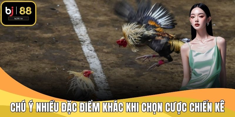 Chú ý nhiều đặc điểm khác khi chọn cược chiến kê