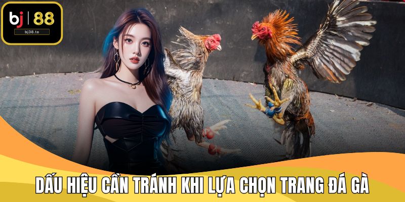 Dấu hiệu cần tránh khi lựa chọn trang đá gà
