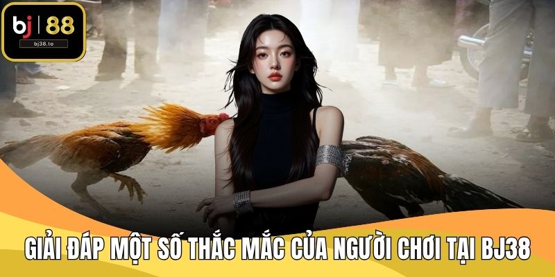Giải đáp một số thắc mắc của người chơi tại BJ38