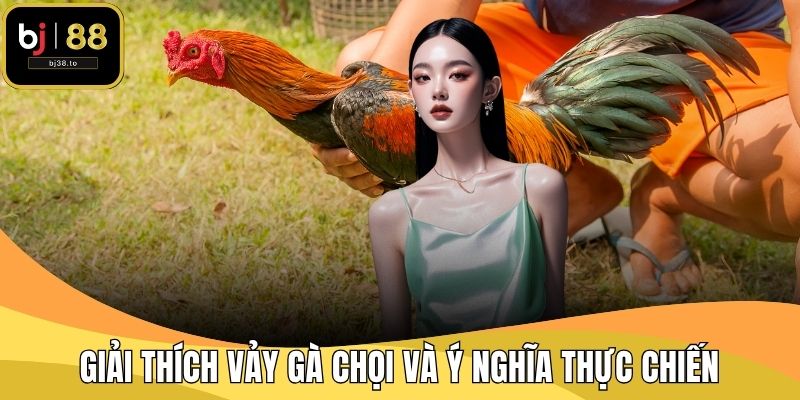 Giải thích vảy gà chọi và ý nghĩa thực chiến