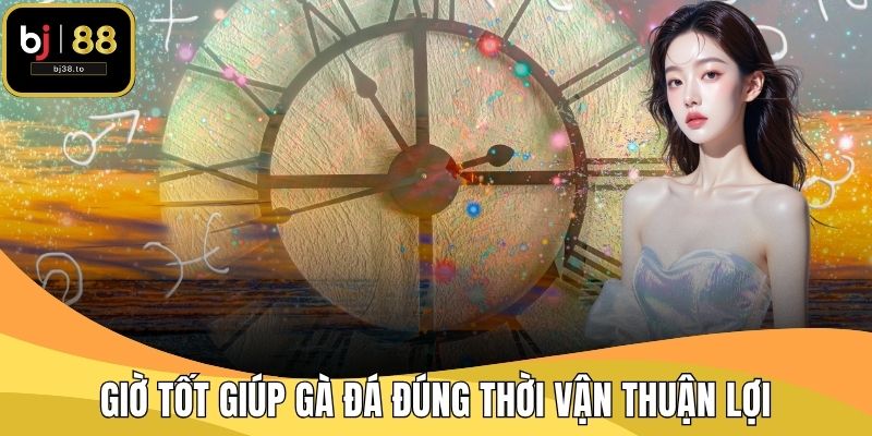 Giờ tốt giúp gà đá đúng thời vận thuận lợi