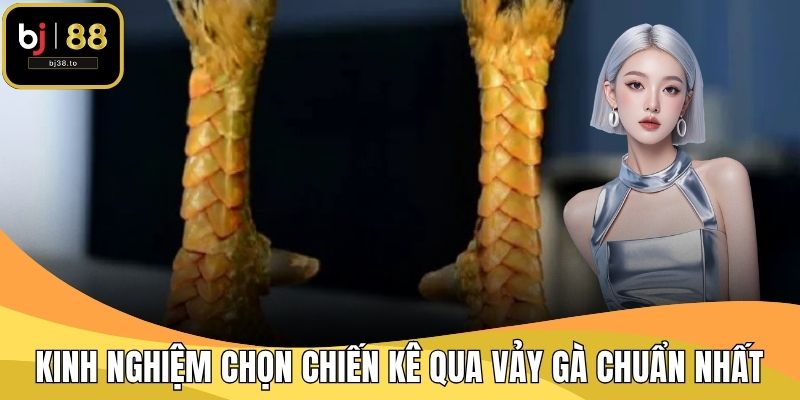 Kinh Nghiệm Chọn Chiến Kê Qua Vảy Gà Chuẩn Nhất