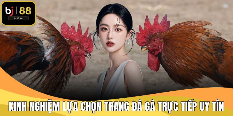 Kinh Nghiệm Lựa Chọn Trang Đá Gà Trực Tiếp Uy Tín