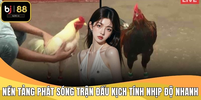 Nền tảng phát sóng các trận đấu kịch tính và nhịp độ nhanh