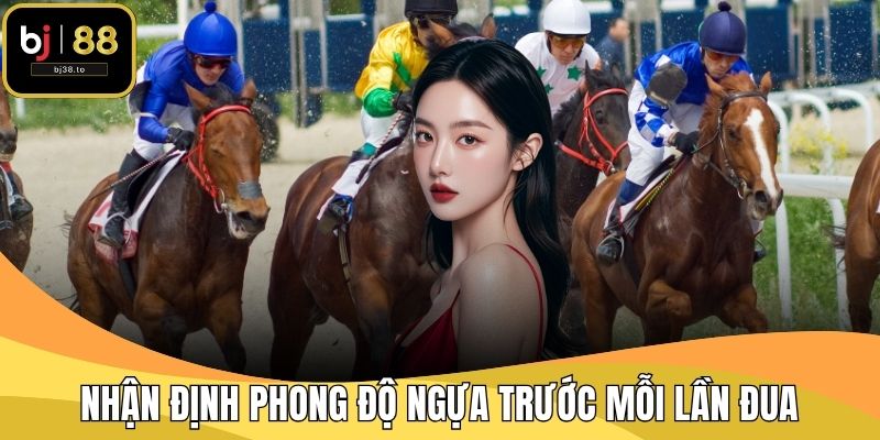 Nhận định phong độ ngựa trước mỗi lần đua