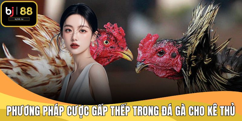 Phương Pháp Cược Gấp Thếp Trong Đá Gà Cho Kê Thủ