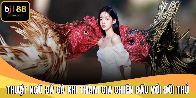 Thuật ngữ đá gà khi tham gia chiến đấu với đối thủ