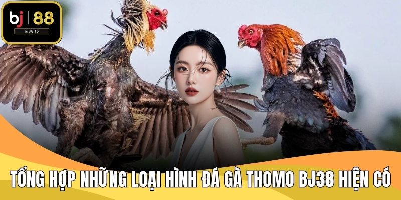 Tổng hợp những loại hình đá gà Thomo BJ38 hiện có
