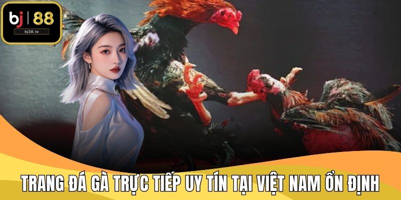 Trang đá gà trực tiếp uy tín tại Việt Nam đường truyền ổn định