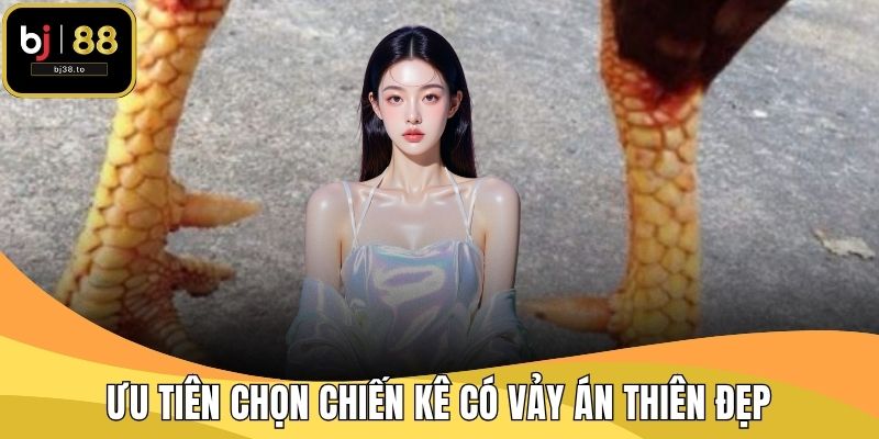 Ưu tiên chọn chiến kê có vảy án thiên đẹp