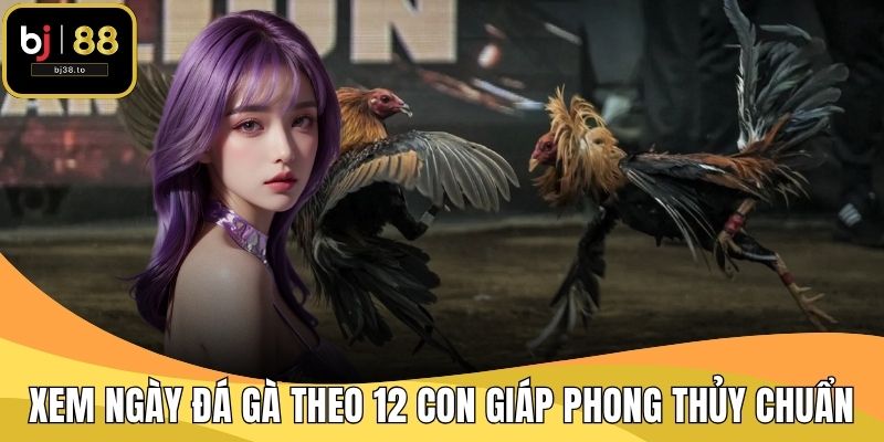 Xem Ngày Đá Gà Theo 12 Con Giáp Phong Thủy Chuẩn