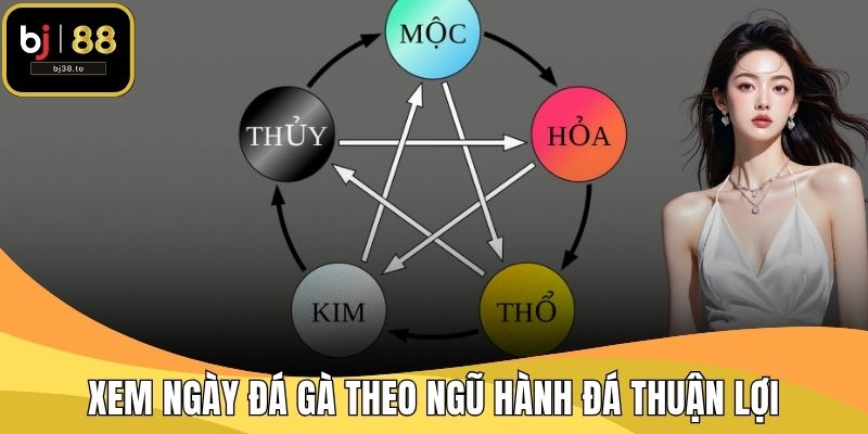 Xem ngày đá gà theo ngũ hành đá thuận lợi