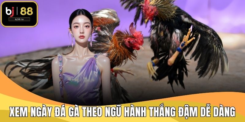 Xem Ngày Đá Gà Theo Ngũ Hành Thắng Đậm Dễ Dàng