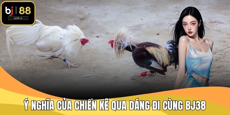 Ý nghĩa của chiến kê qua dáng đi